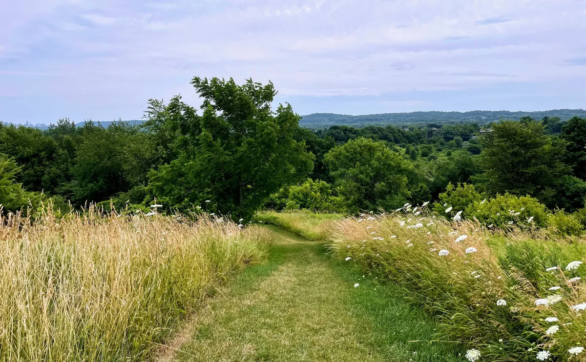 Dundas Valley