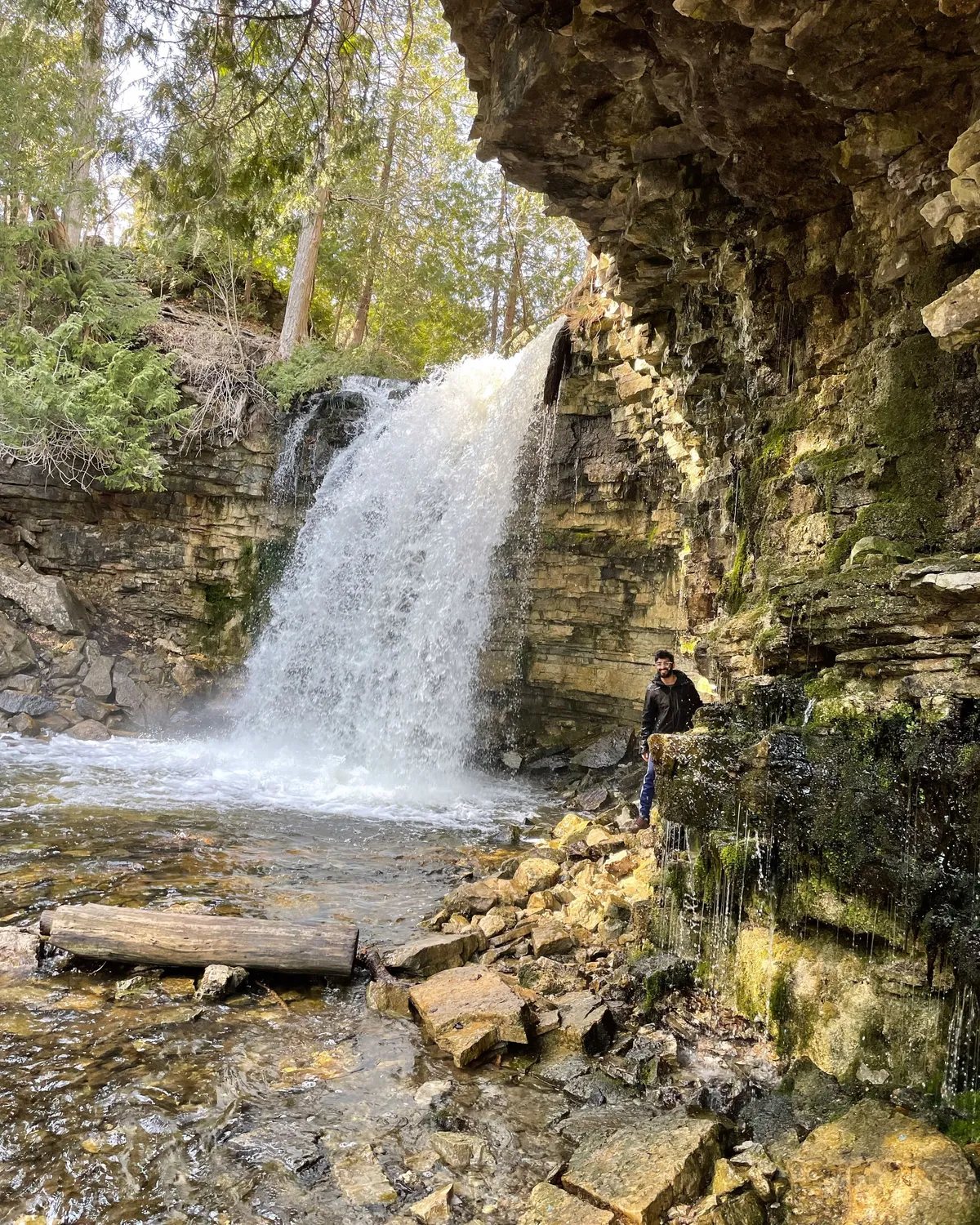 Hilton Falls