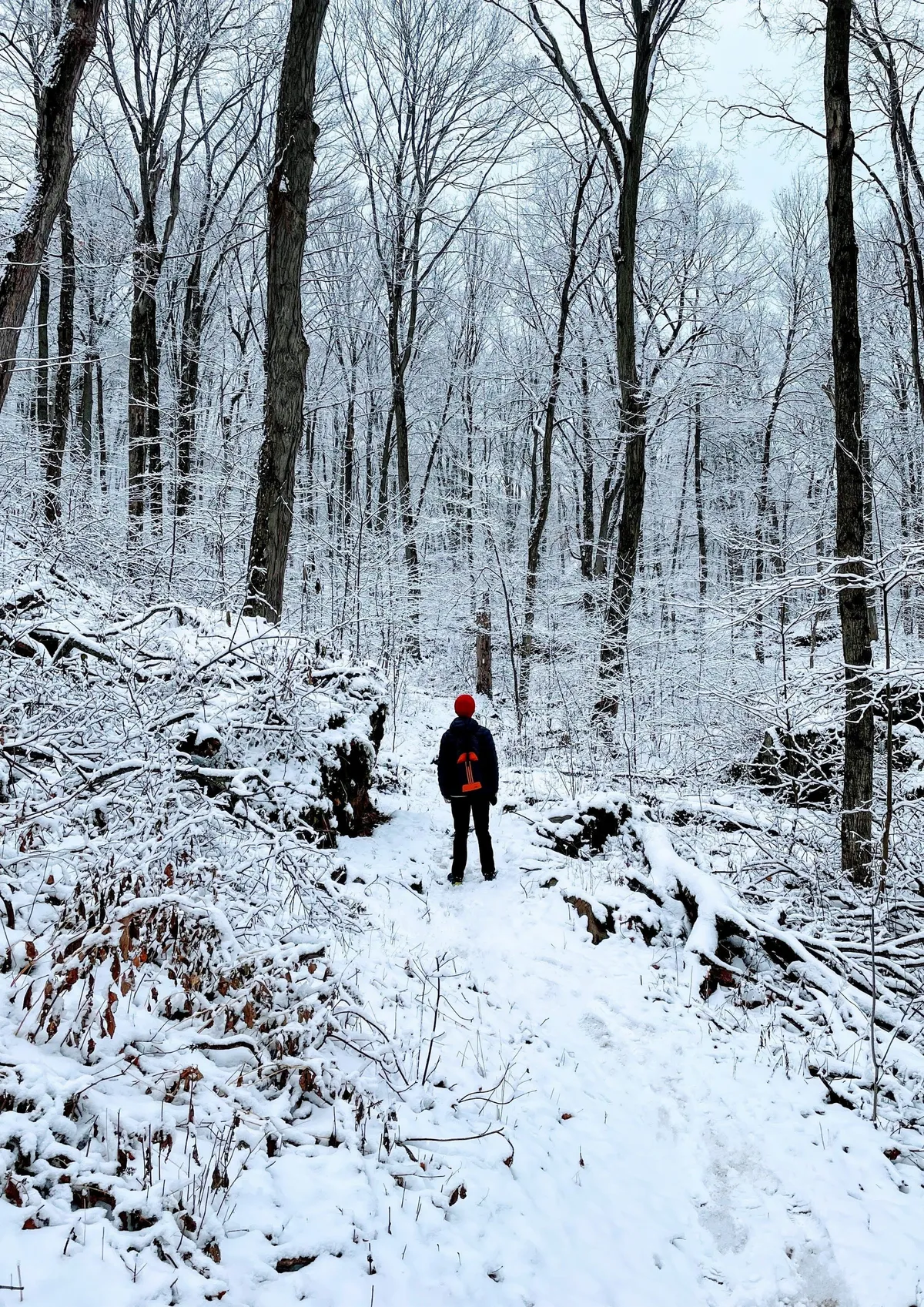 Bruce Trail