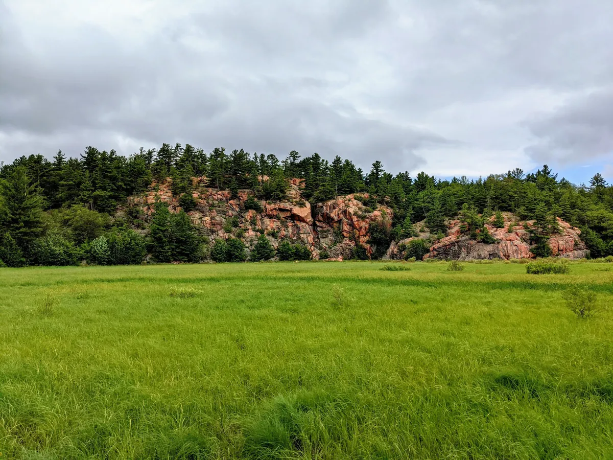 Cranberry Bog