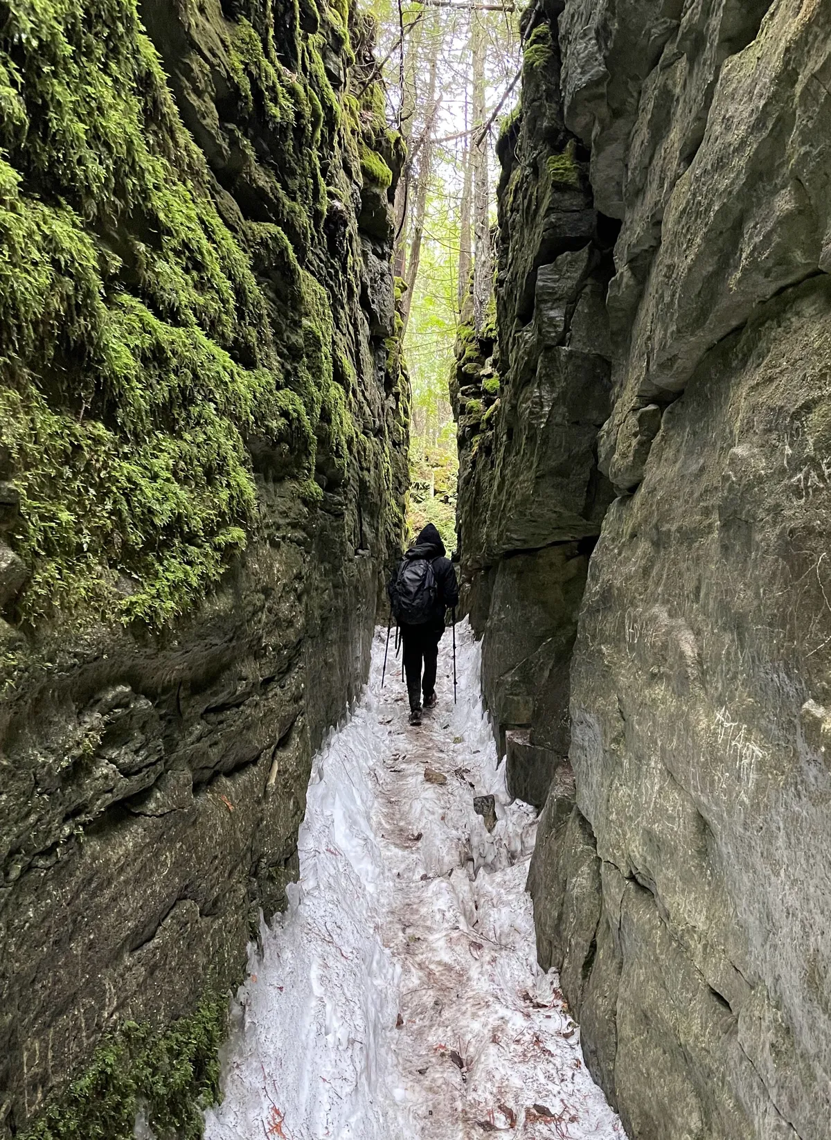 Nottawasaga Bluffs